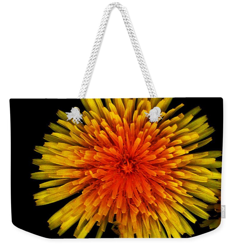 Dandelion Weekender Tote Bag featuring the photograph Dandelion Contrast by Dylan Punke
