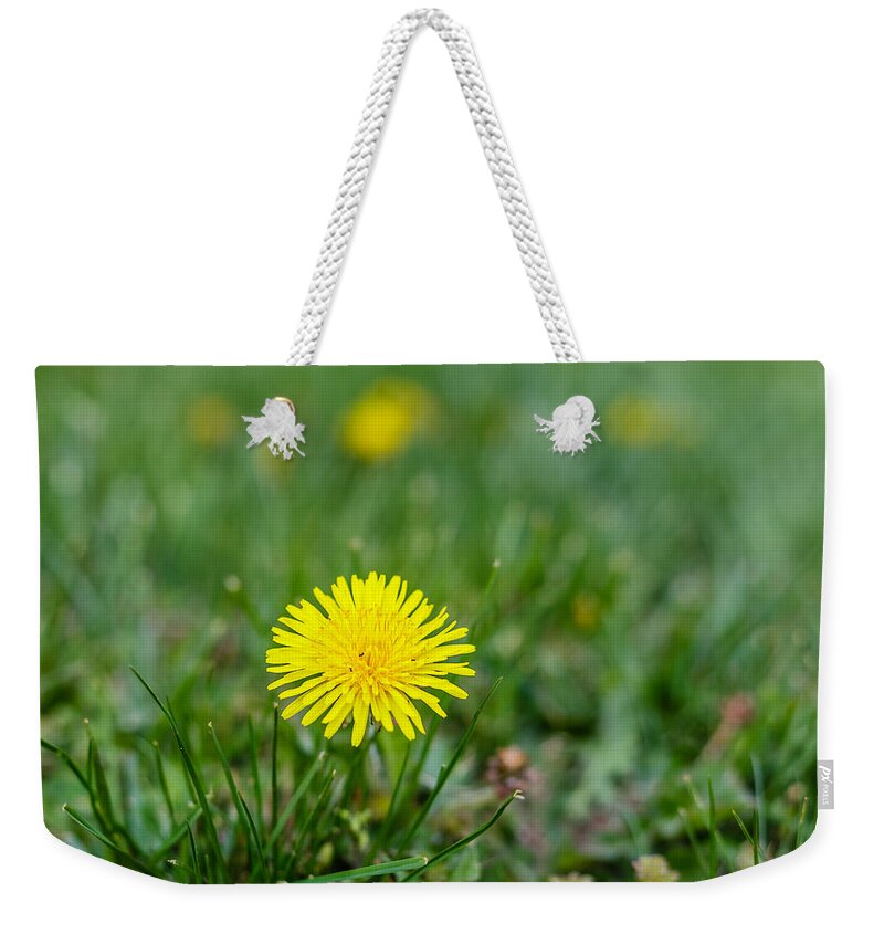 Dandelion Weekender Tote Bag featuring the photograph Dandelion by SAURAVphoto Online Store