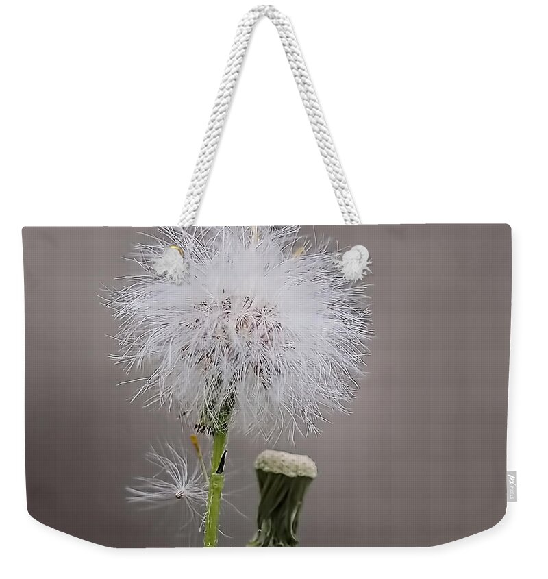  Weekender Tote Bag featuring the photograph Dandelion Seed Head by Rona Black