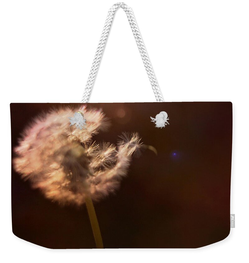 Dandelion Puff Weekender Tote Bag featuring the mixed media Dandelion by Stephanie Hollingsworth