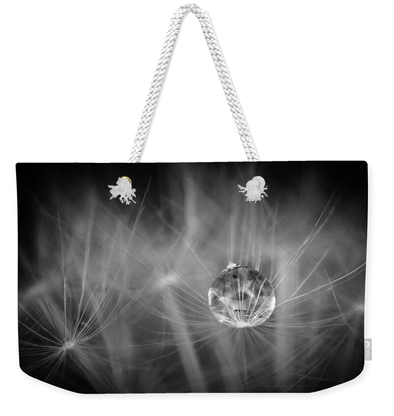 Laowa 60mm Weekender Tote Bag featuring the photograph Dandelions ARE Good For Something by Tracy Munson