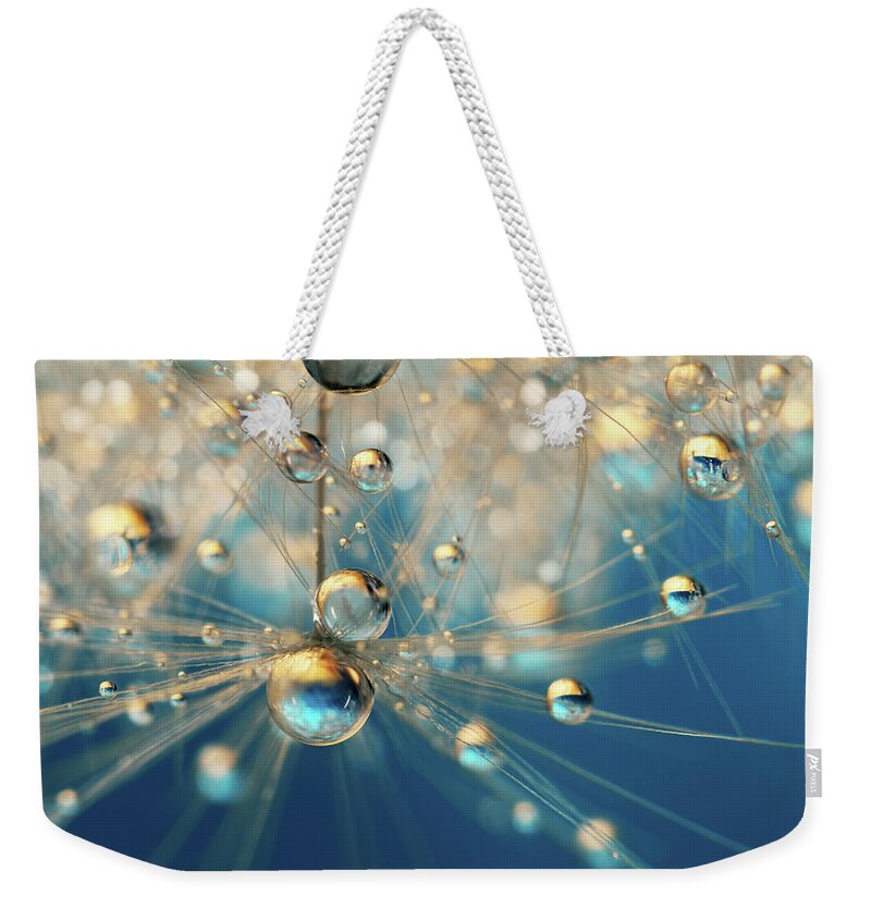 Dandelion Weekender Tote Bag featuring the photograph Dandy Drops in Royal Blue by Sharon Johnstone