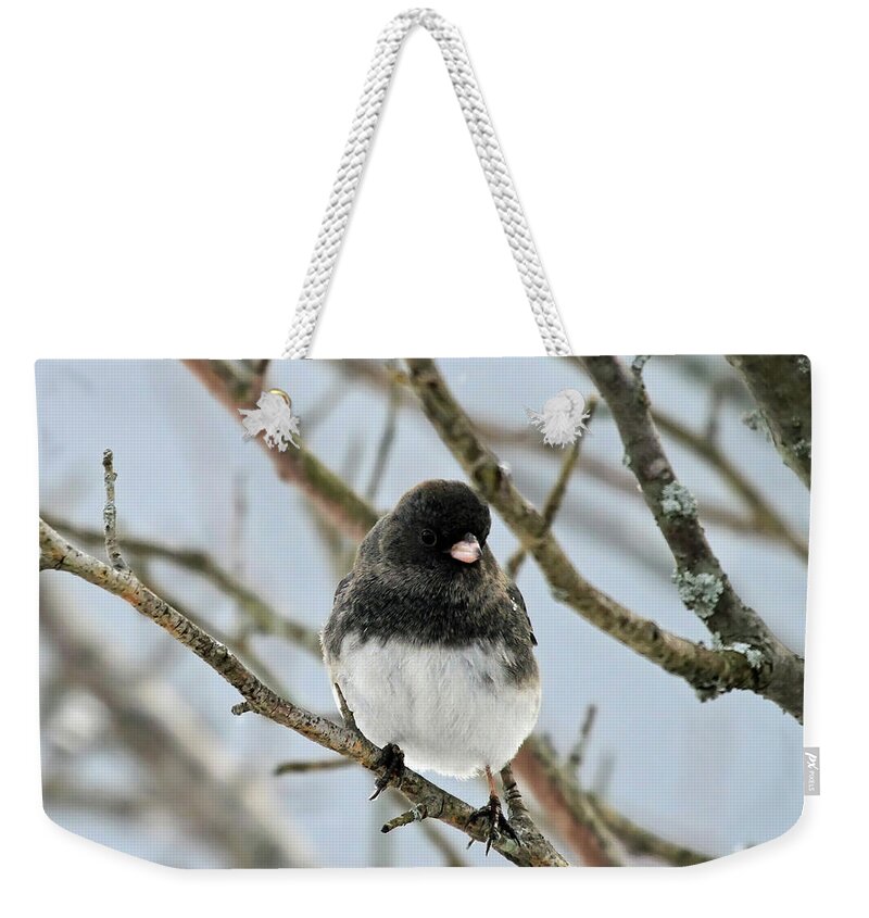 Dark Eyed Junco Weekender Tote Bag featuring the photograph Dark Eyed Junco in the winter by Jackson Pearson