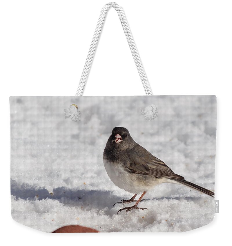 Animal Weekender Tote Bag featuring the photograph Dark-eyed junco by SAURAVphoto Online Store