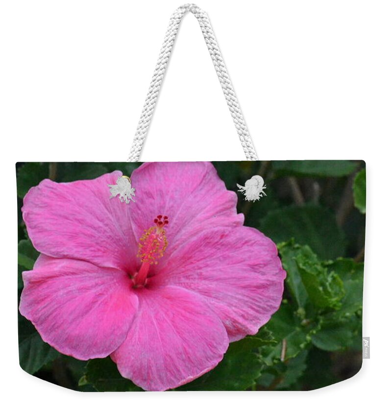Flower Weekender Tote Bag featuring the photograph Dark Pink Hibiscus Duo by Amy Fose