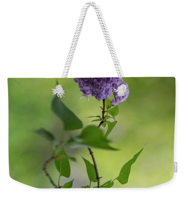 Flower Weekender Tote Bag featuring the photograph Dark violet lilac by Jaroslaw Blaminsky