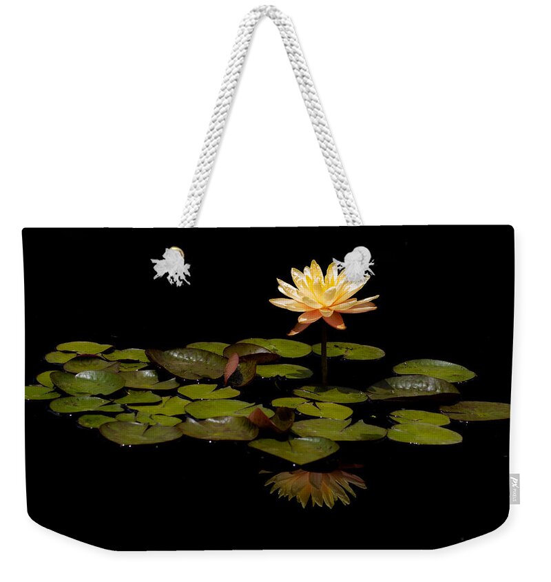 Water Lily Weekender Tote Bag featuring the photograph Dark Waters by Mindy Musick King