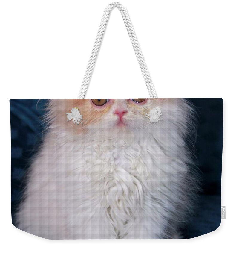 Kitten Weekender Tote Bag featuring the painting Dauphin 3 by Robert SORENSEN