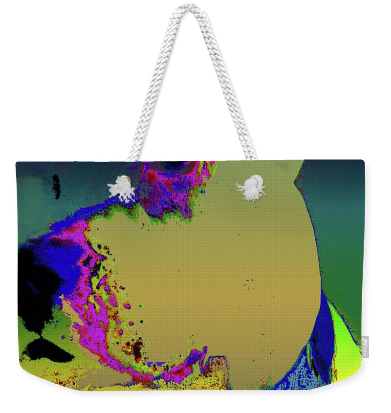 Pit Bull Weekender Tote Bag featuring the photograph Day Day by Robert McCubbin