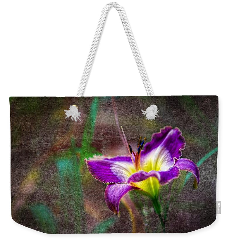 Daylily Weekender Tote Bag featuring the photograph Day of the Lily by Ches Black