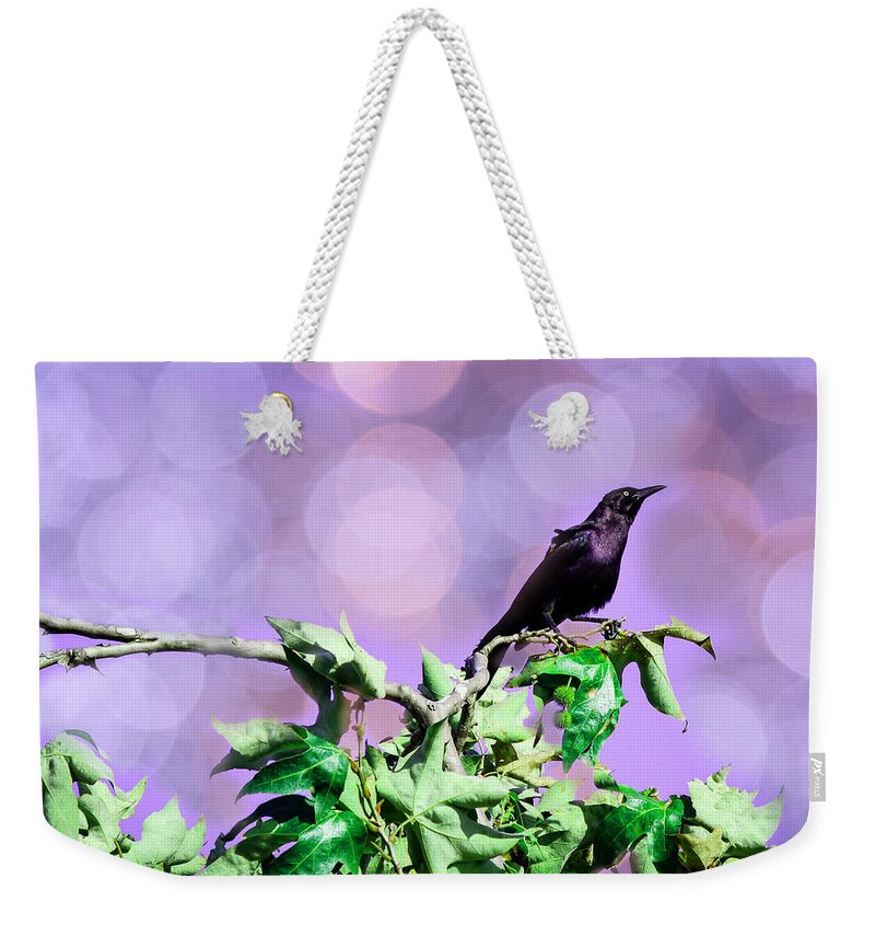 Bird Weekender Tote Bag featuring the photograph Daydreaming by Alison Frank