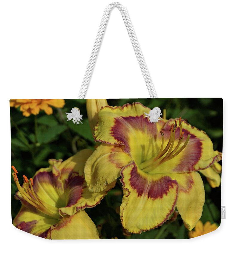 Daylily Weekender Tote Bag featuring the photograph Daylilies and Zinnia by Sandy Keeton