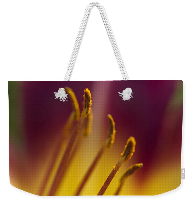 Daylily Weekender Tote Bag featuring the photograph Daylily Abstract by Kathy Clark