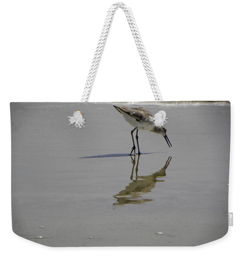 Shorebird Weekender Tote Bag featuring the photograph Daytona Beach Shorebird by Christopher Mercer