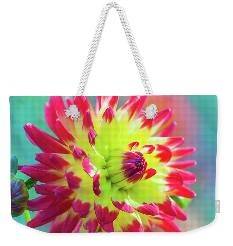  Dahlia Weekender Tote Bag featuring the photograph Dazzling Dahlia by Dee Browning