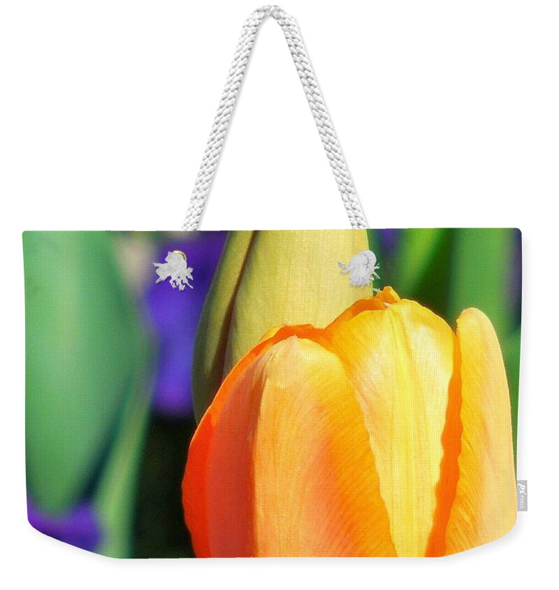 Tulip Weekender Tote Bag featuring the photograph Dazzling Tulip by Chad and Stacey Hall
