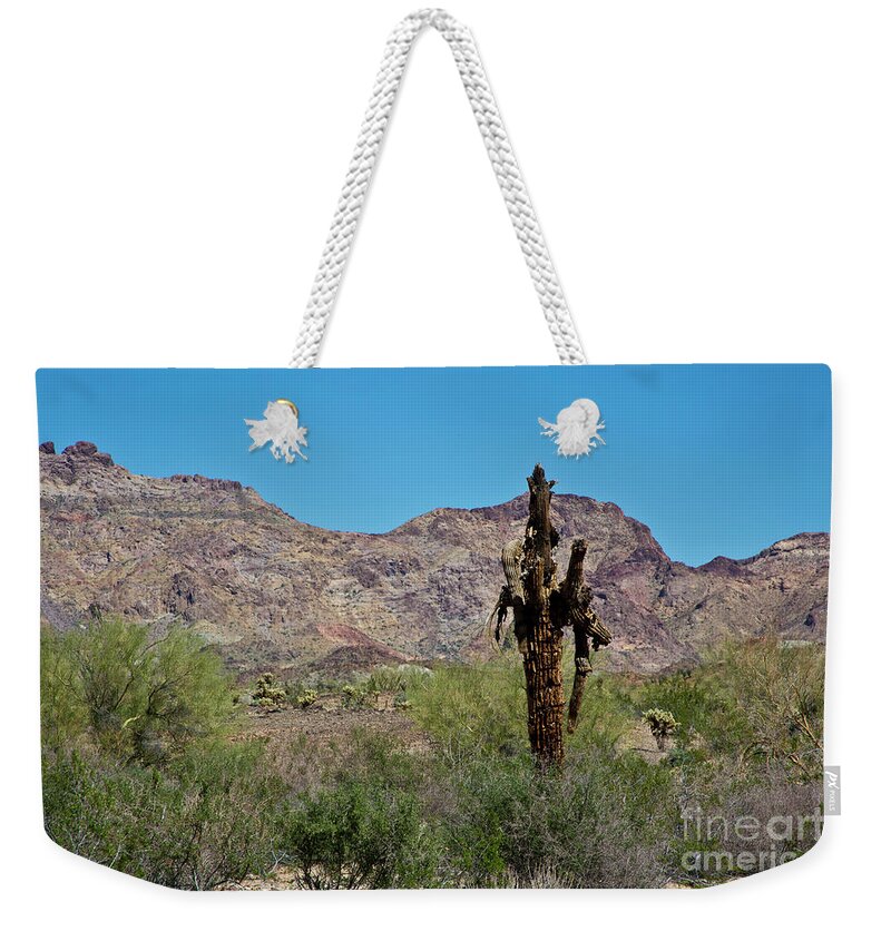 Arizona Weekender Tote Bag featuring the photograph Dead but Not Fallen by Kathy McClure