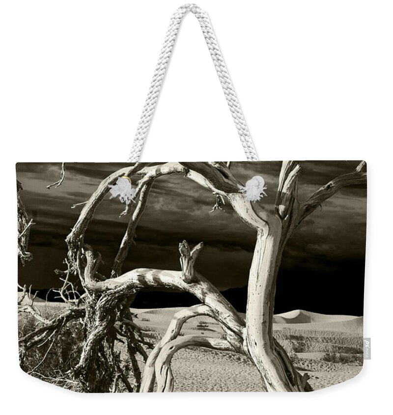 Death Valley Weekender Tote Bag featuring the photograph Dead tree in Death Valley 13 by Micah May