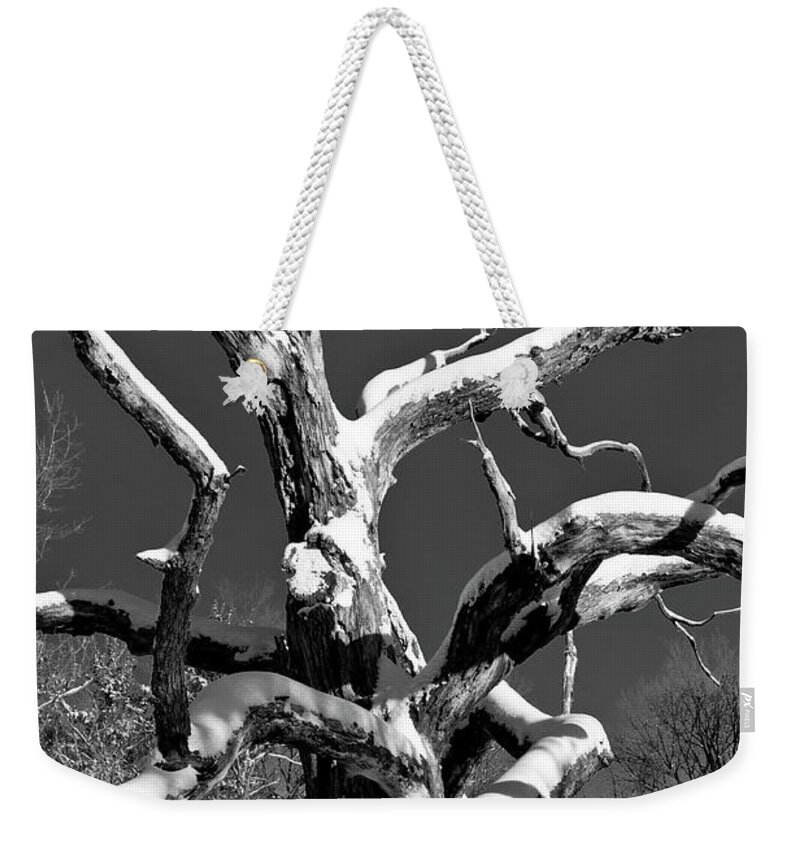 Tree Weekender Tote Bag featuring the photograph Dead Tree - UW Arboretum - Madison - WI by Steven Ralser