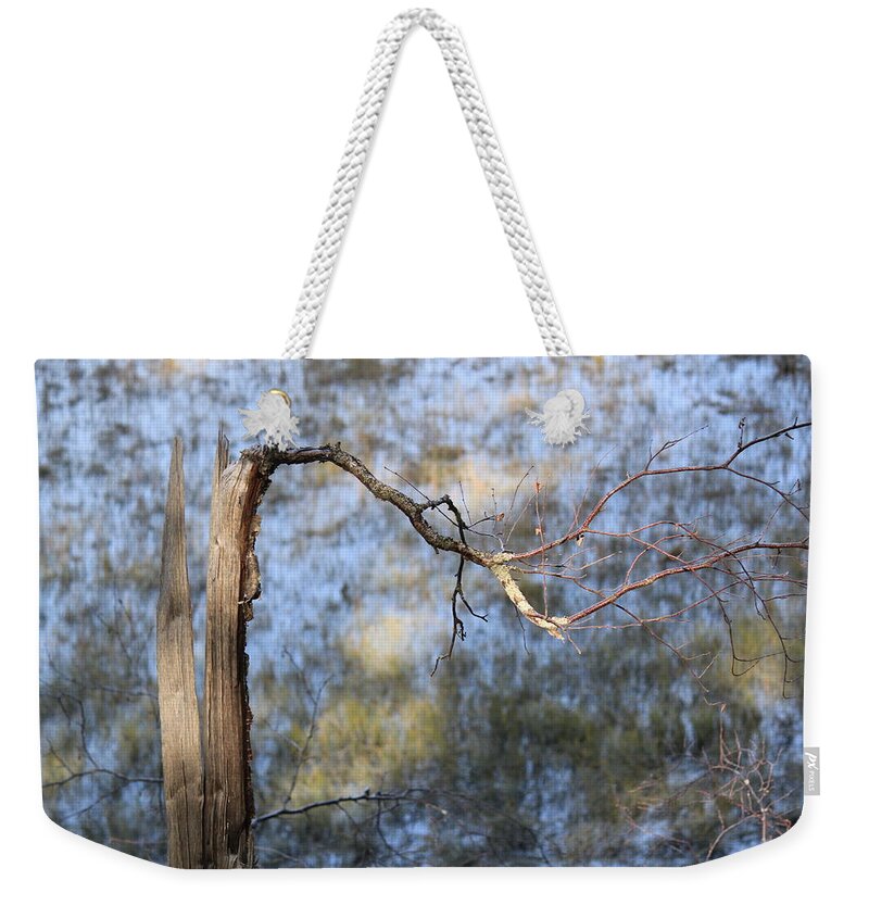 Decay Weekender Tote Bag featuring the photograph Decay by Annekathrin Hansen