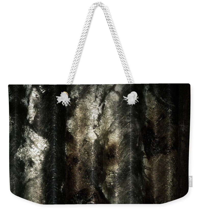 Abstract Weekender Tote Bag featuring the photograph Decay by Wim Lanclus