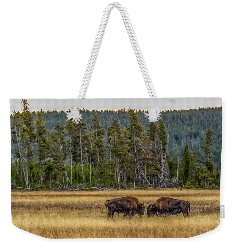 Bison Weekender Tote Bag featuring the photograph Decision At Dawn by Yeates Photography
