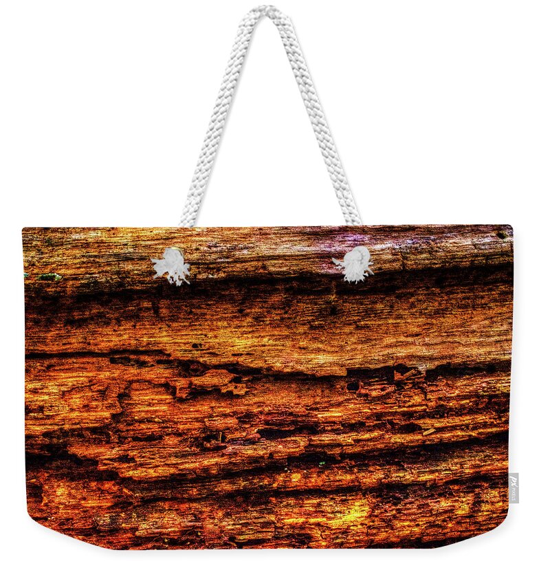 Illinois Weekender Tote Bag featuring the photograph Decomposing Fallen Tree Trunk Detail by Roger Passman