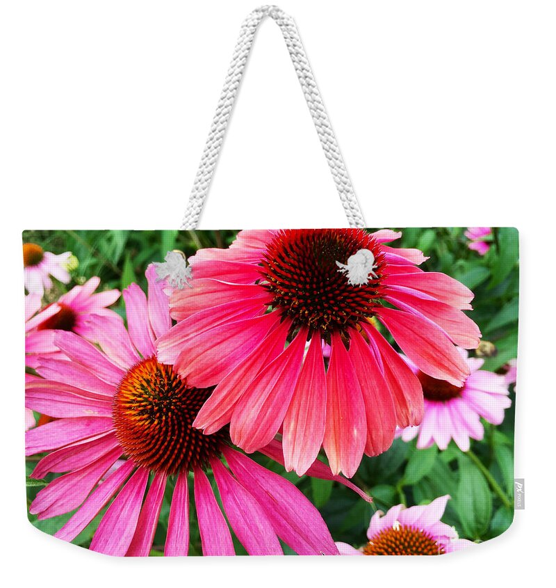 Daisy Weekender Tote Bag featuring the photograph Deep Down We Are All the Same by Beth Saffer