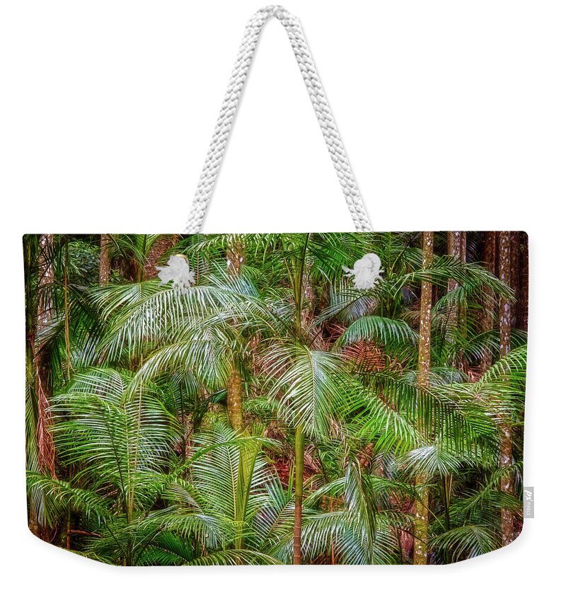 Web-portfolios Weekender Tote Bag featuring the photograph Deep in the Forest, Tamborine Mountain by Dave Catley