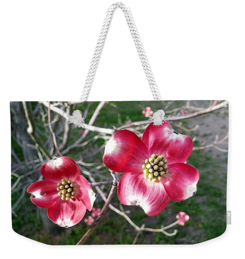 Blossoms Weekender Tote Bag featuring the photograph Deep Pink by Kathy Barney