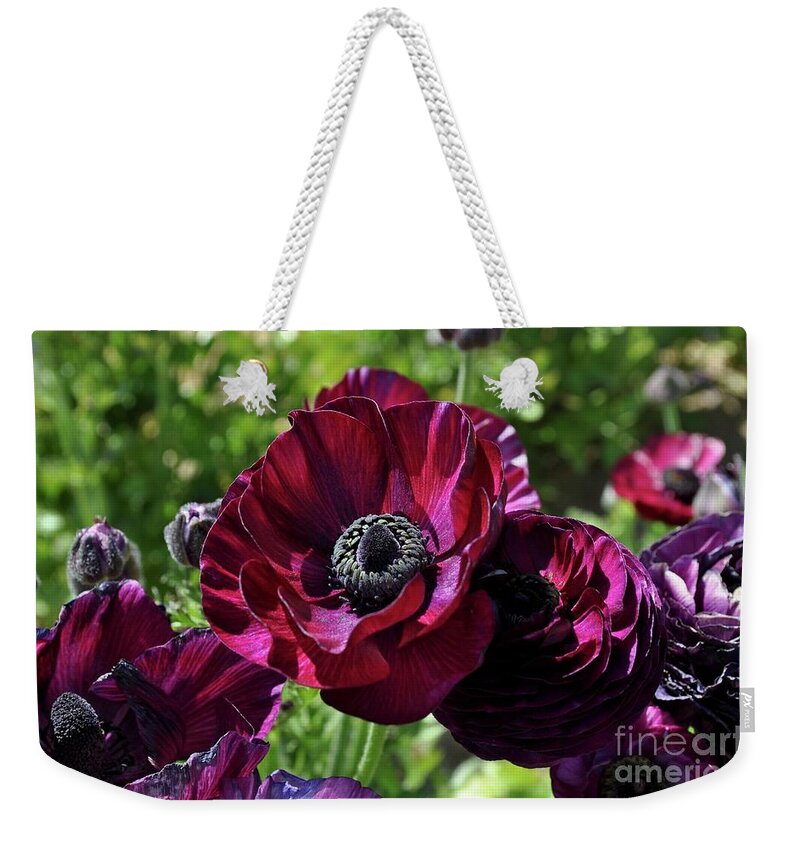 Fuchsia Weekender Tote Bag featuring the photograph Deep Ranunculus by Bridgette Gomes