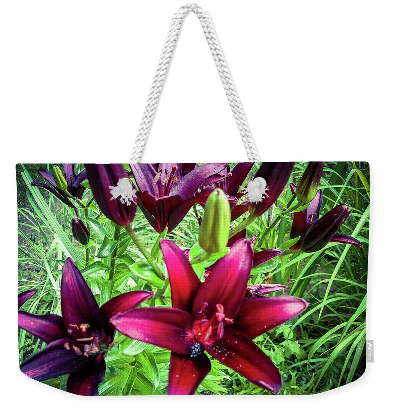 Lily Weekender Tote Bag featuring the photograph Deep Red Lillies by Jennifer Kohler