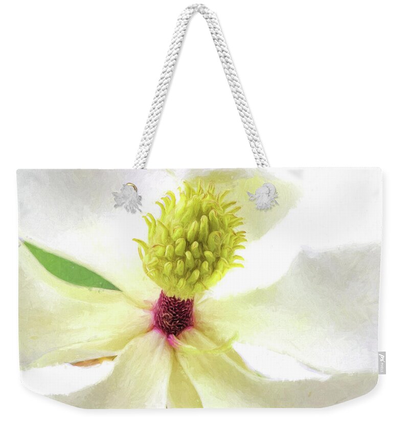 Magnolia Grandiflora Weekender Tote Bag featuring the digital art Deeply Southern Roots by JC Findley