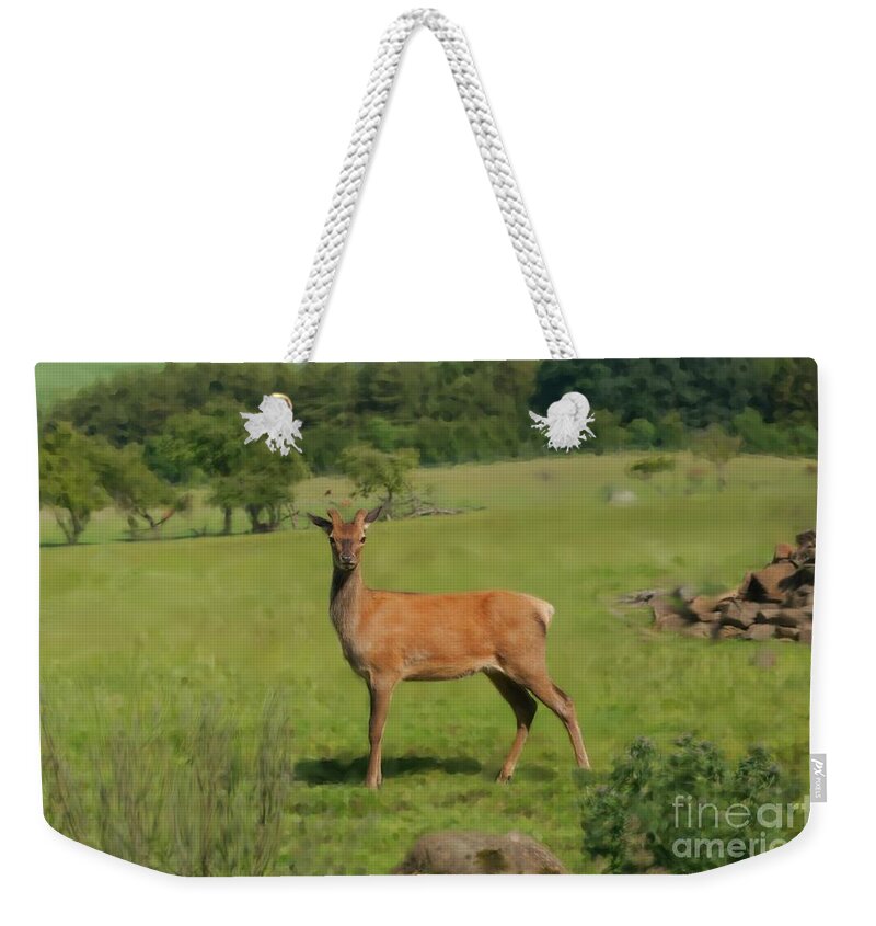 Red Deer Weekender Tote Bag featuring the photograph Deer calf. by Elena Perelman