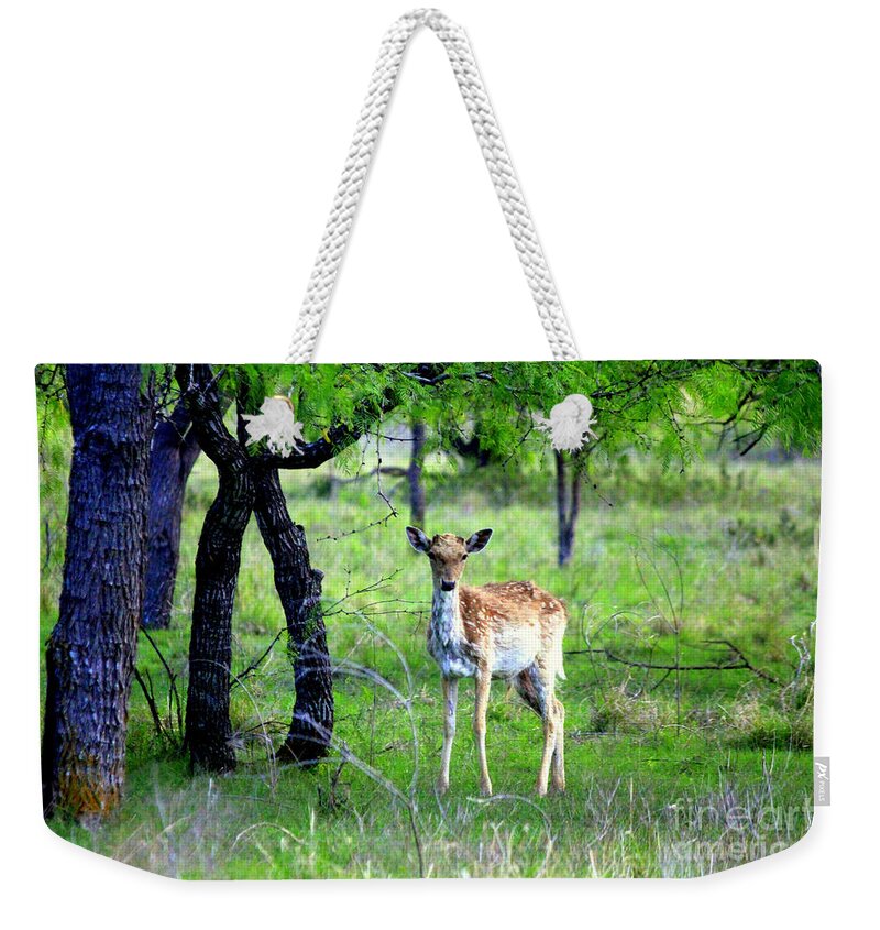 Deer Weekender Tote Bag featuring the photograph Deer Curiosity by Kathy White