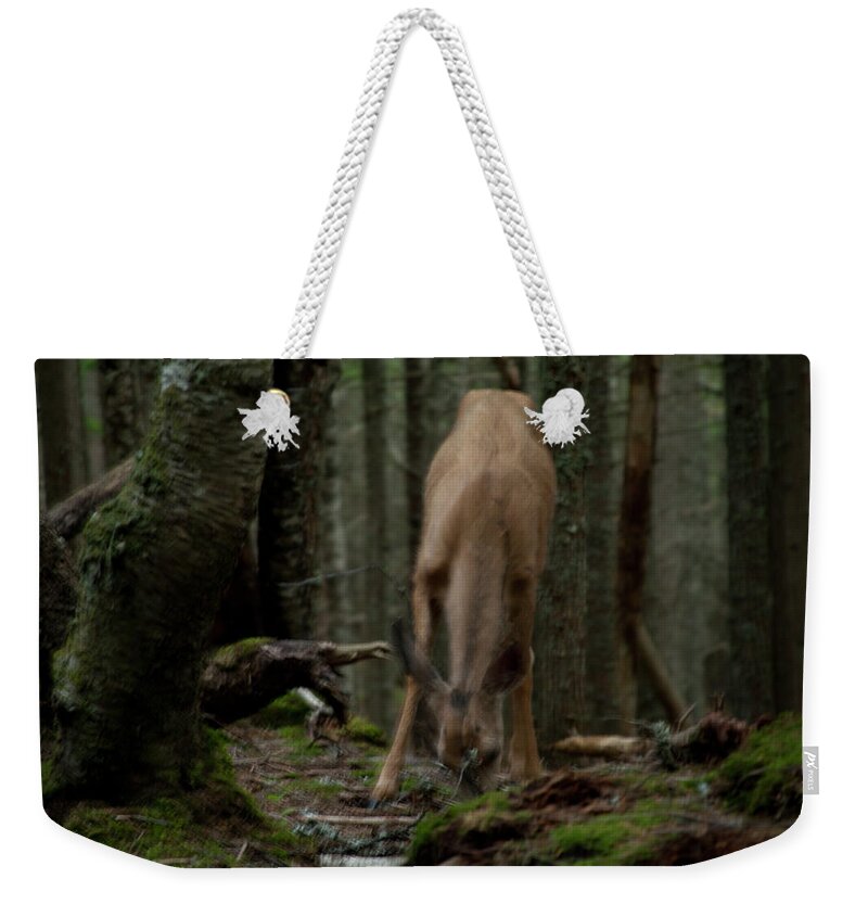 Forest Weekender Tote Bag featuring the photograph Deer by David Chasey