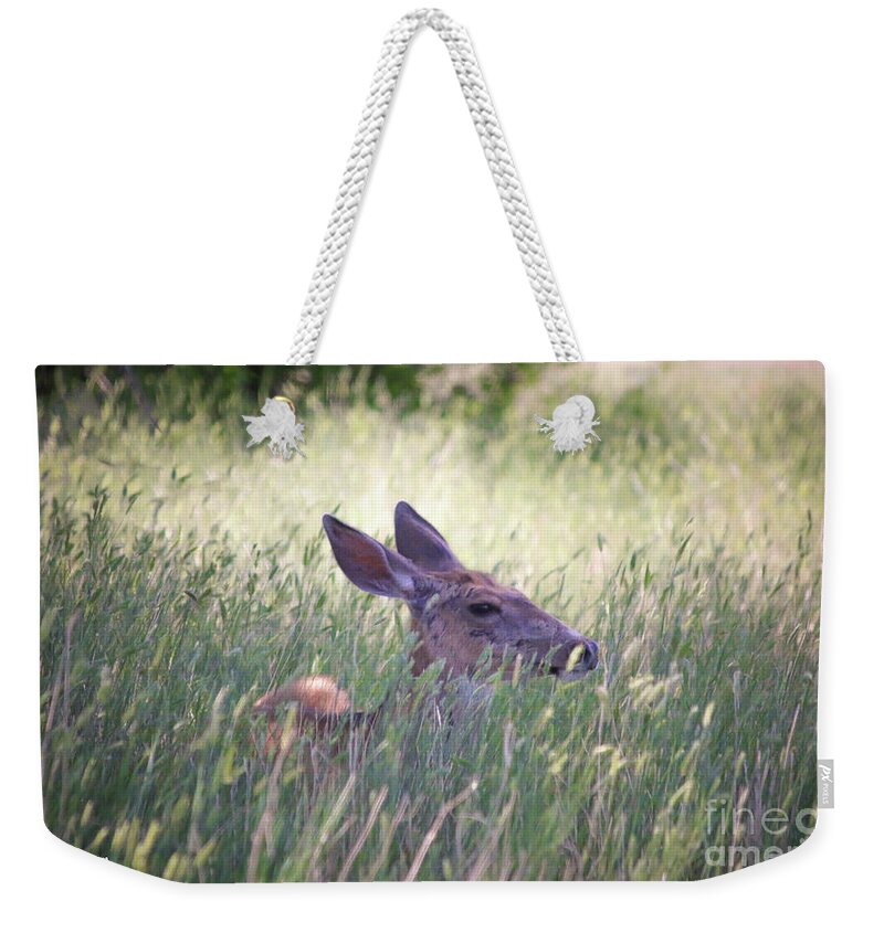 Deer Weekender Tote Bag featuring the photograph Deer in Grass Two by Veronica Batterson