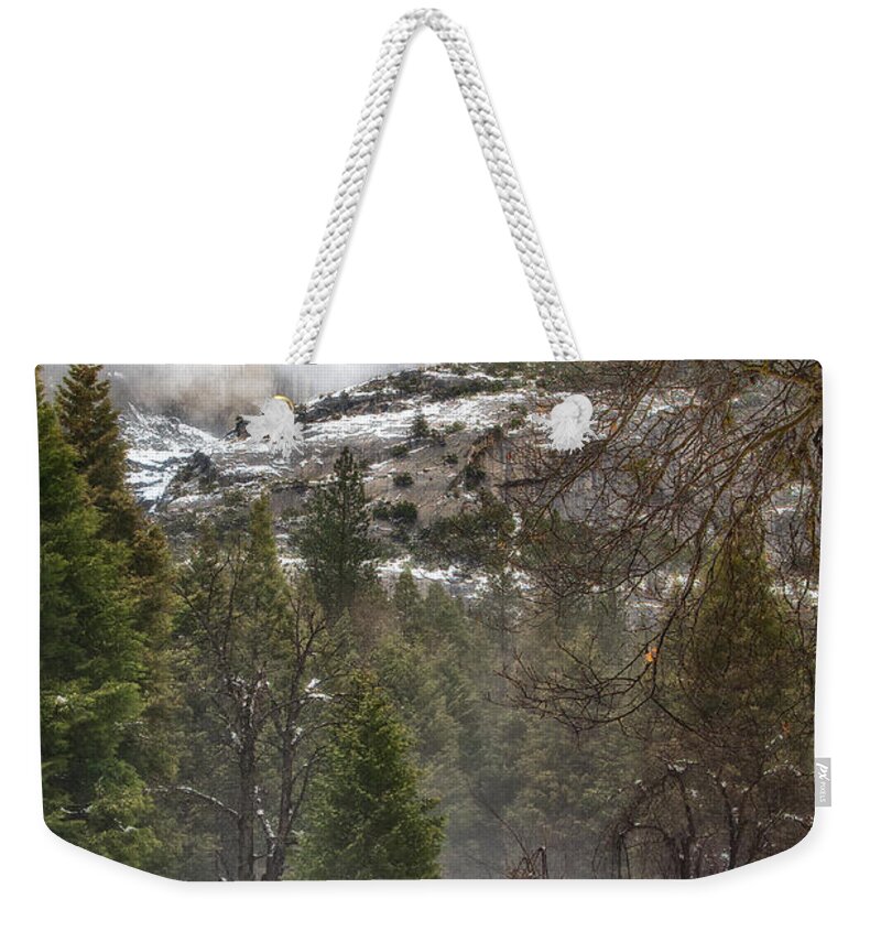 Yosemite Weekender Tote Bag featuring the photograph Deer of Winter by Anthony Michael Bonafede