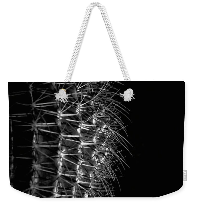  Weekender Tote Bag featuring the photograph Deflection by Denise Dube