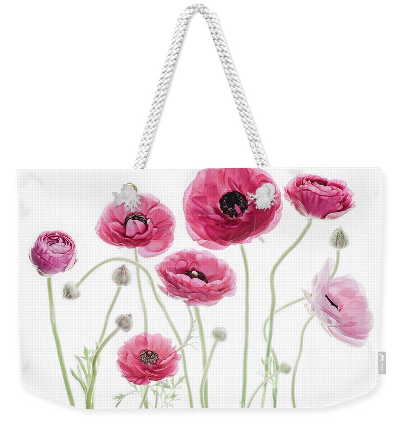 Ranunculus Weekender Tote Bag featuring the photograph Delicate Arrangement by Rebecca Cozart