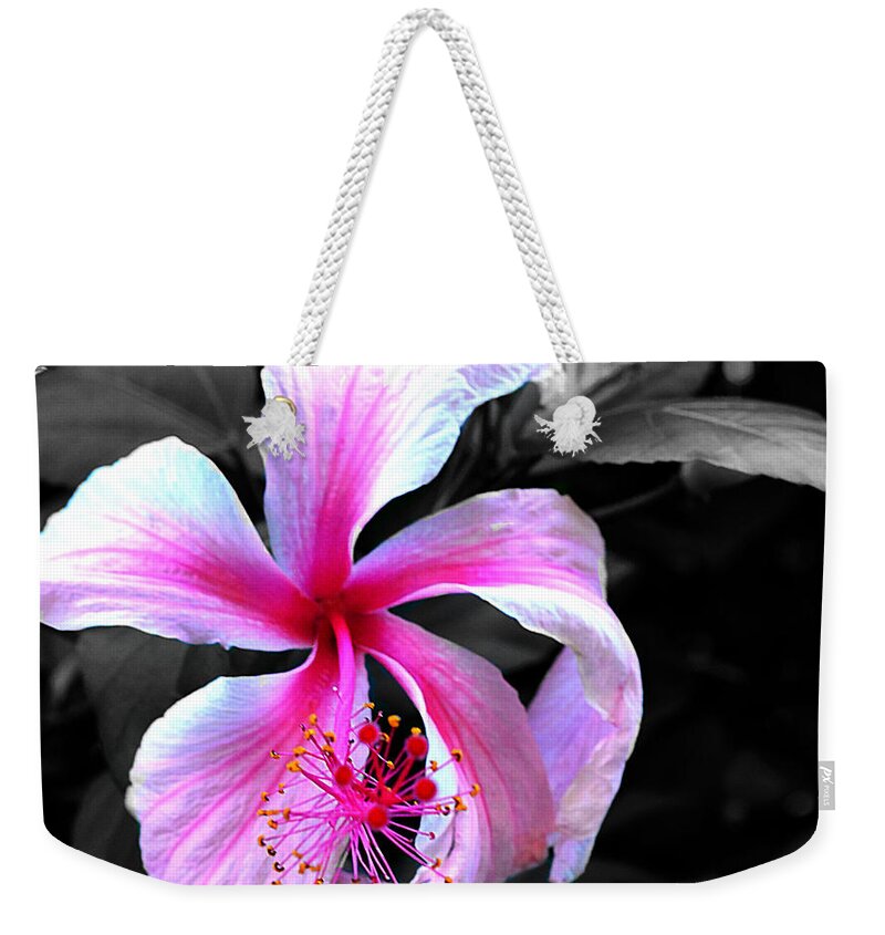 Art Weekender Tote Bag featuring the photograph Delicate Beauty by Bradley Dever