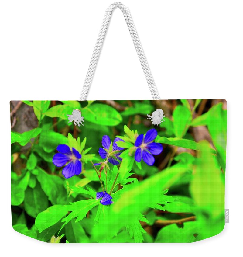 Nature Weekender Tote Bag featuring the photograph Delicate Flowers by Joe Burns