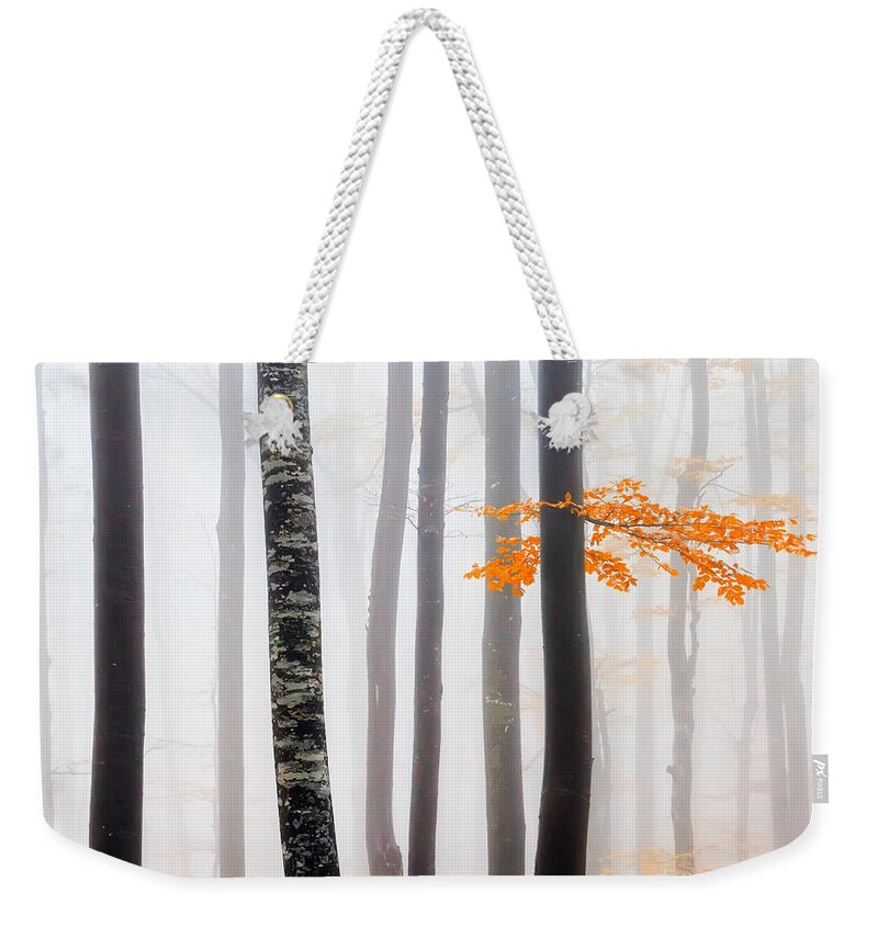Balkan Mountains Weekender Tote Bag featuring the photograph Delicate Forest by Evgeni Dinev