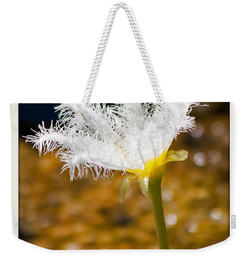 Lily Weekender Tote Bag featuring the photograph Delicate Lily by Farol Tomson