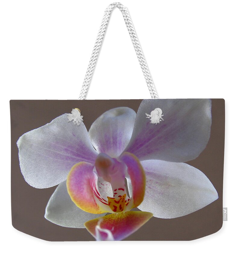 Keefe Weekender Tote Bag featuring the photograph Delicate Orchid by Juergen Roth