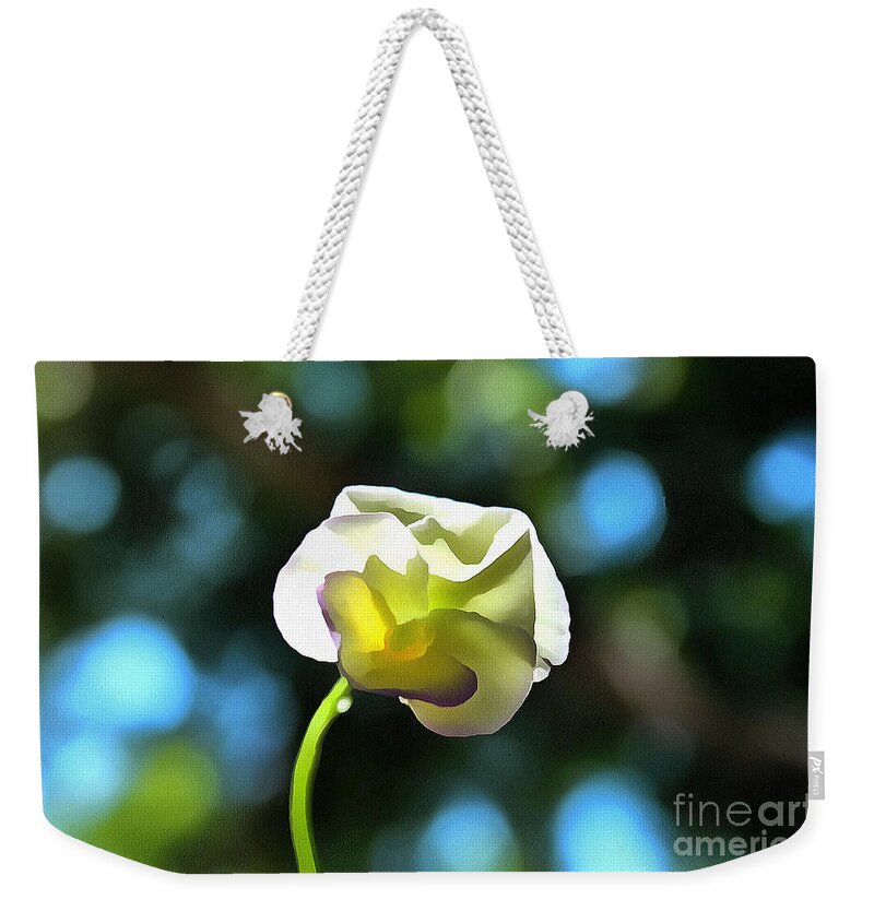 Pansy Weekender Tote Bag featuring the photograph Delicate Pansy by Krissy Katsimbras