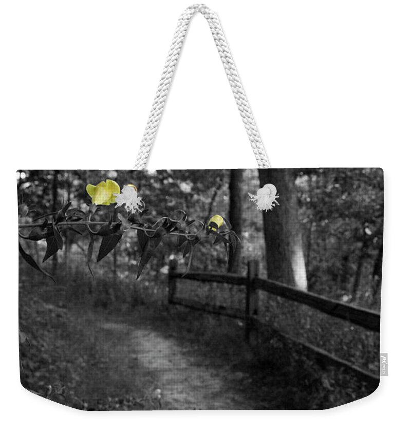 Flower Weekender Tote Bag featuring the photograph Delicate Path by Dylan Punke