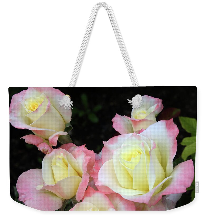 Rose Weekender Tote Bag featuring the photograph Delicate Roses by Ellen Tully