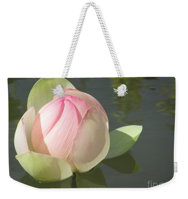 Lily Weekender Tote Bag featuring the photograph Delicate Water Lily by Anita Adams