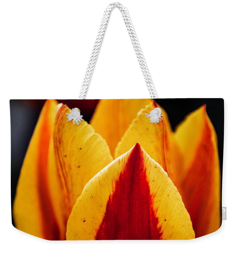 Tulip Weekender Tote Bag featuring the photograph Deliciosa by Edward Kreis